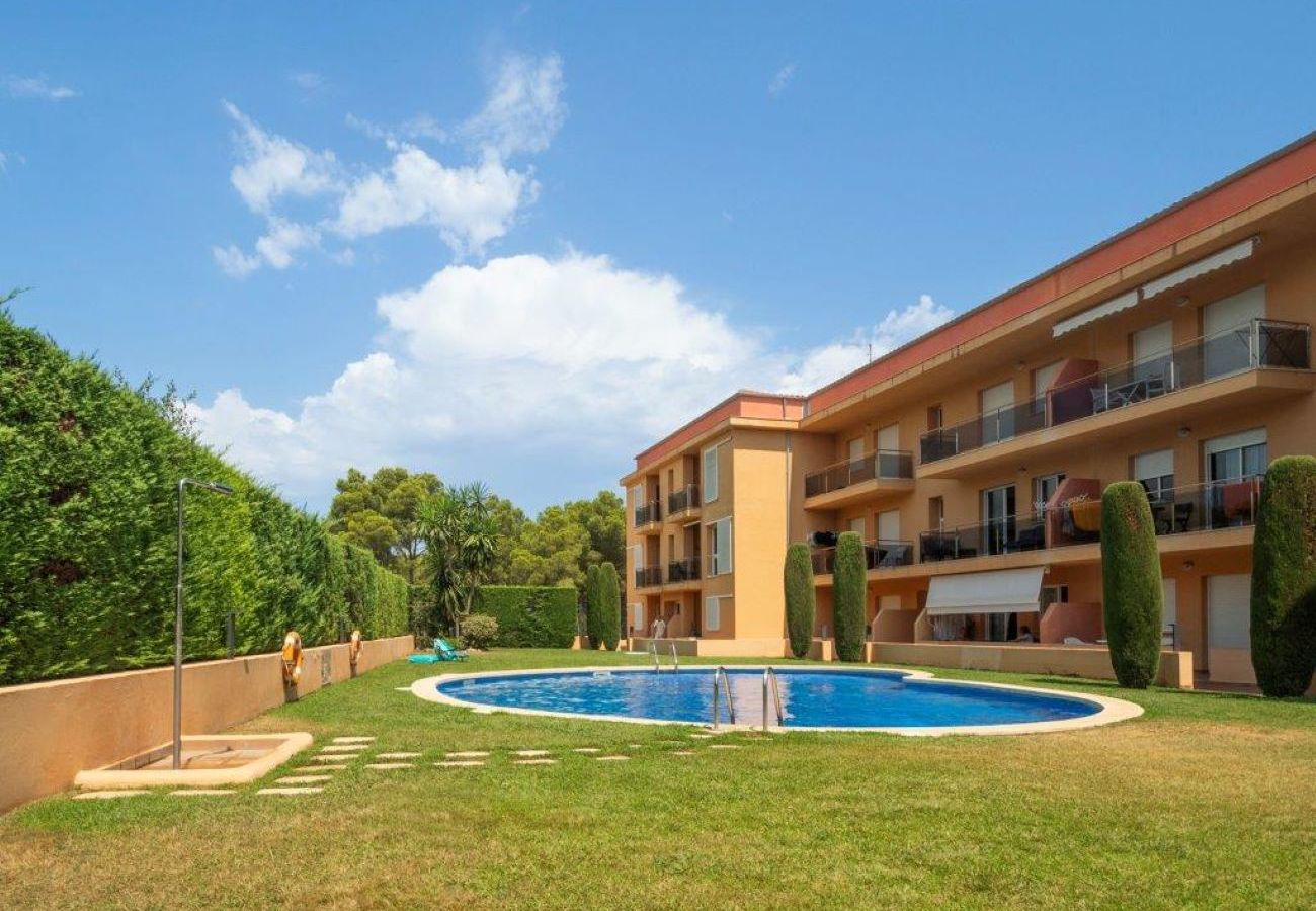 Apartment-Wohnung in Escala - GOLF MAR