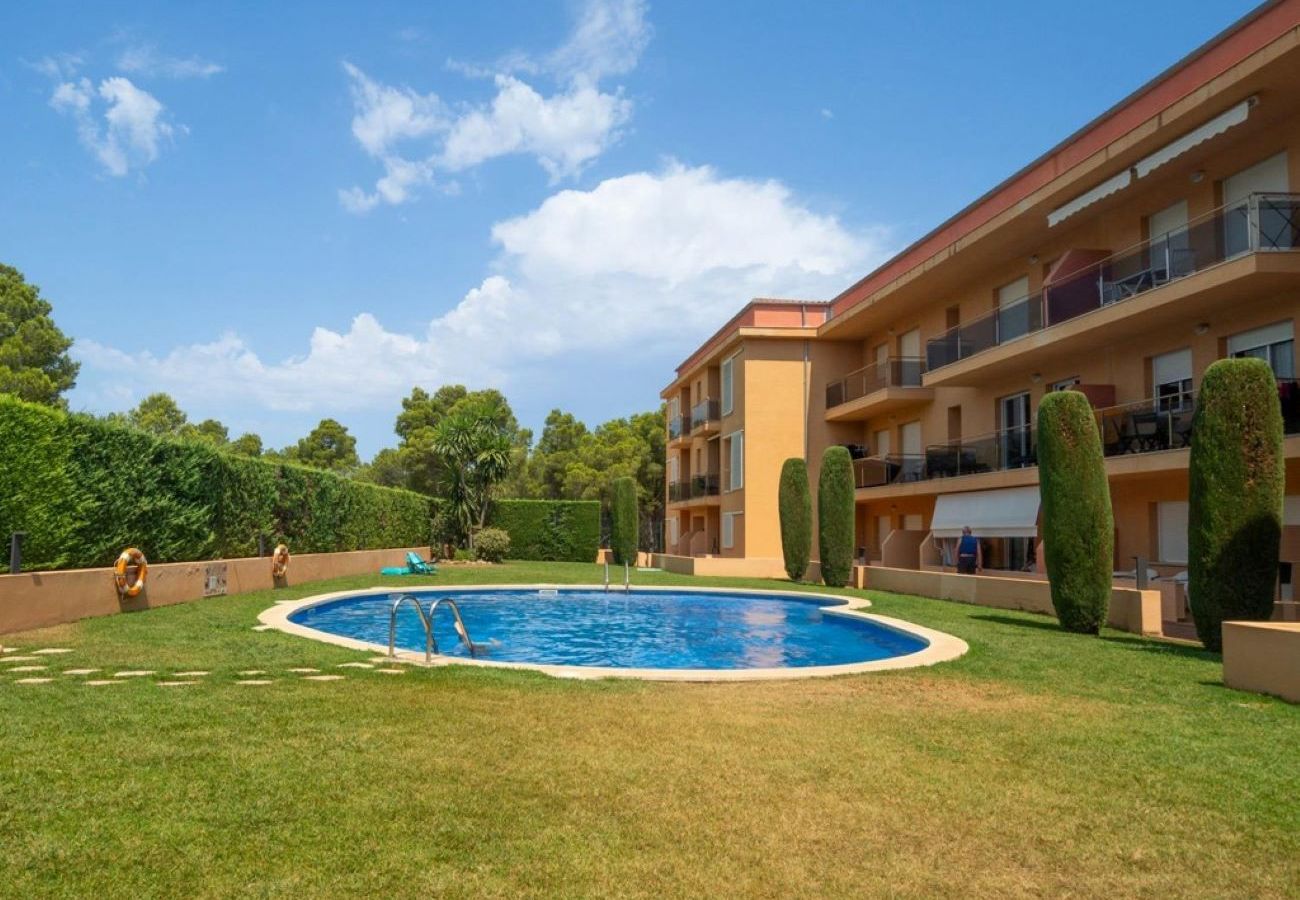 Apartment-Wohnung in Escala - GOLF MAR